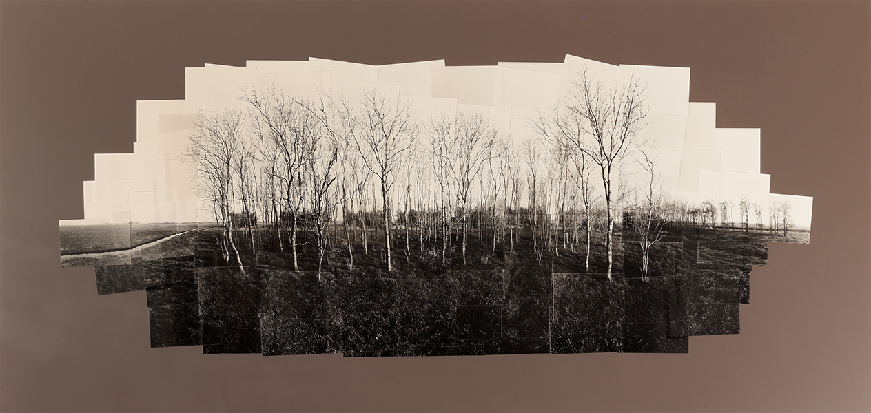image, picture, halfweg, landscape Vinkenbrug, Halfweg, Noord-holland, black and white, zwart, wit, trees, bomen
